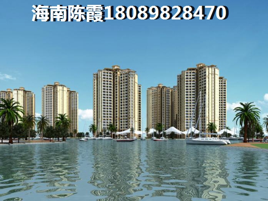 爱民区有哪些传统小吃纸得一尝（爱民区人民政府网站公开公示栏目）