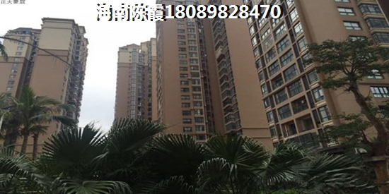醋炒橘子怎么炒呀好吃