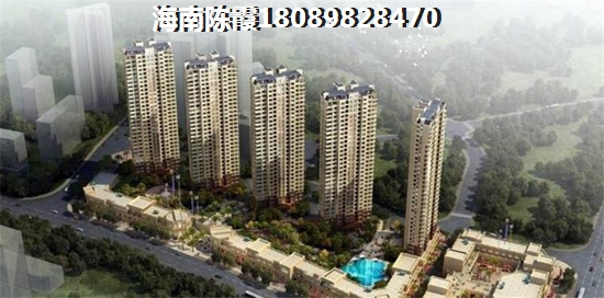 孕妇可以吃葱花炒豆腐吗