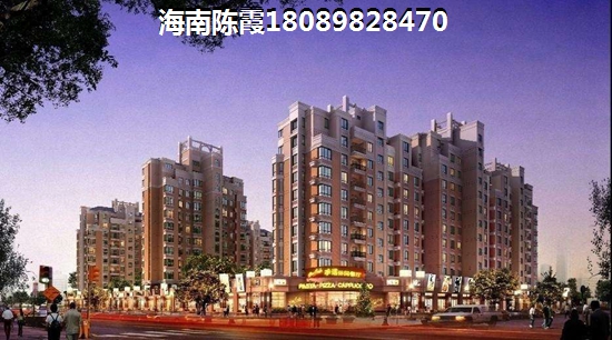 海豚的护理小游戏